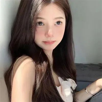 雁南飞